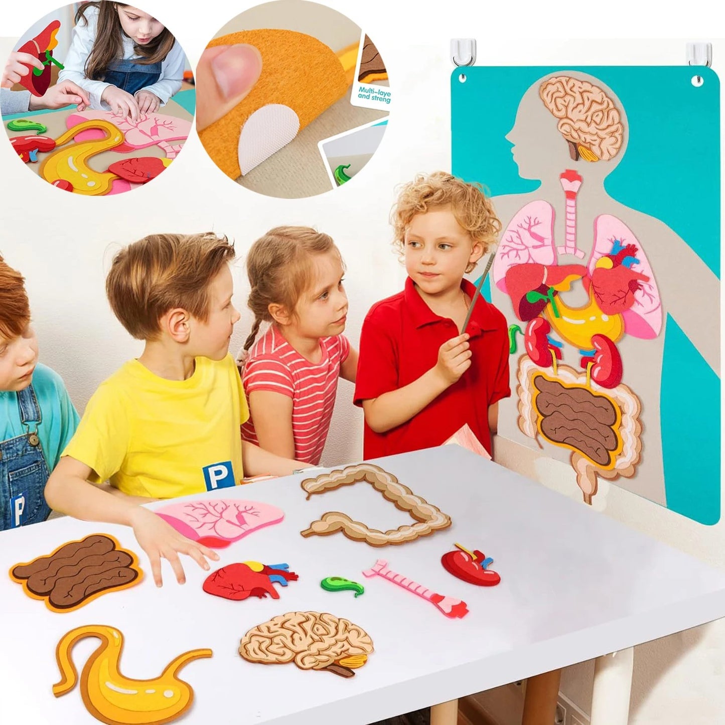 22Pc Body Parts Felt Board Set