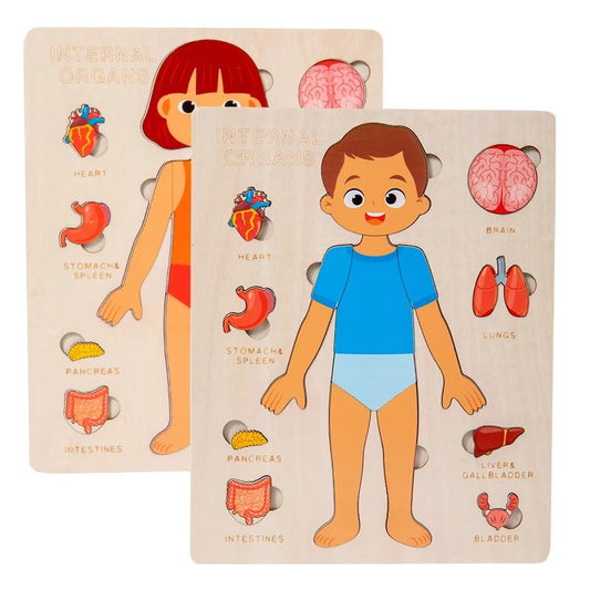 Human Body Educational Puzzle