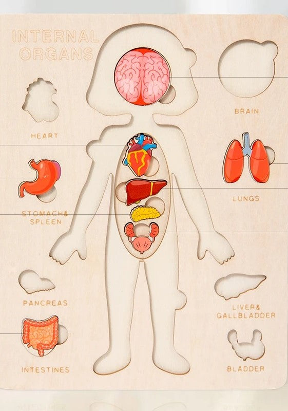 Human Body Educational Puzzle