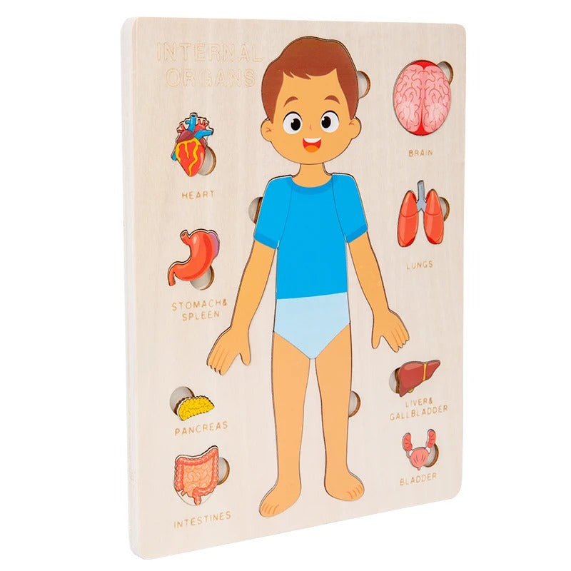 Human Body Educational Puzzle